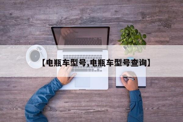 【电瓶车型号,电瓶车型号查询】