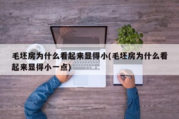 毛坯房为什么看起来显得小(毛坯房为什么看起来显得小一点)
