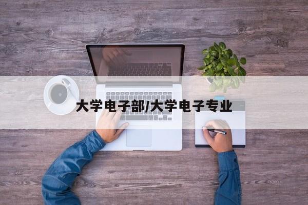 大学电子部/大学电子专业